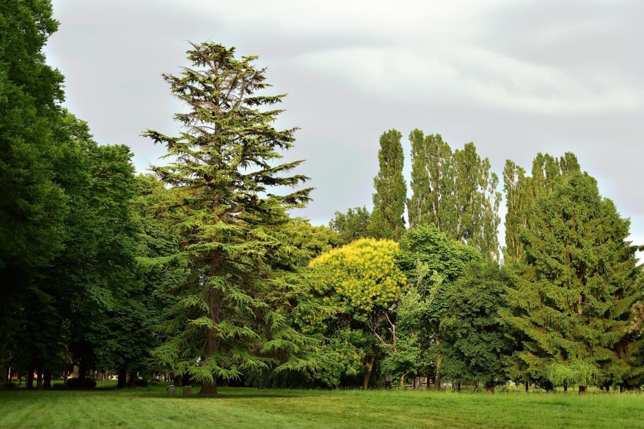 Villa Iachia Ruda Luaran gambar